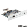 Cloud CDI-CV2 2-channel Dante digital input card for CV Series power amplifiers.