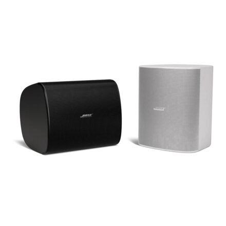 Bose DesignMax DM12SE